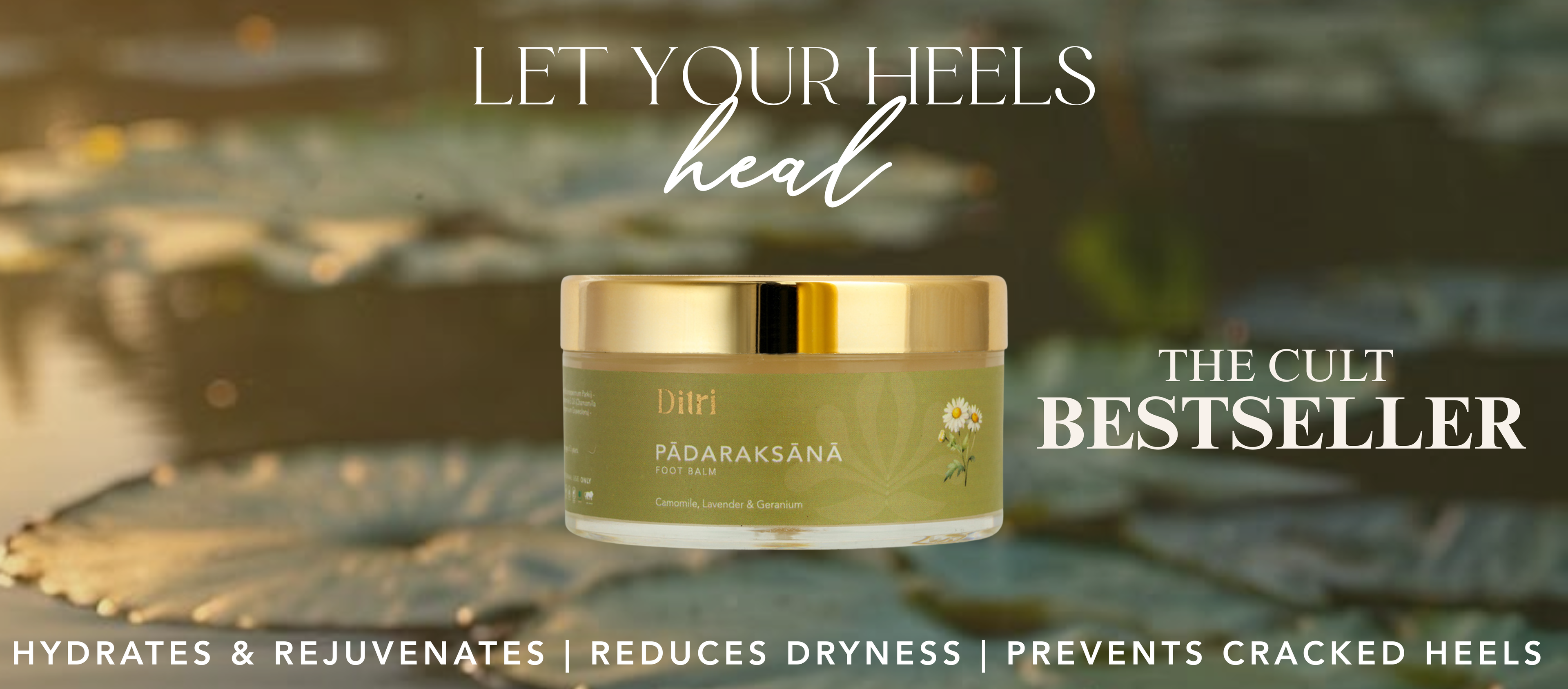 slider image slider_item_mgAYRp